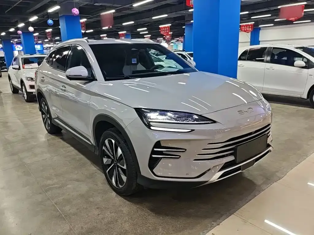 BYD PLUS New Energy — фото 8