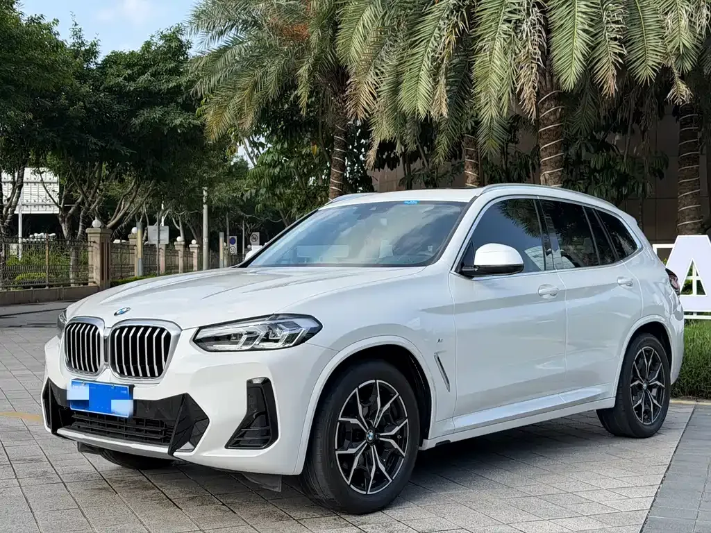 BMW X3 — фото 1