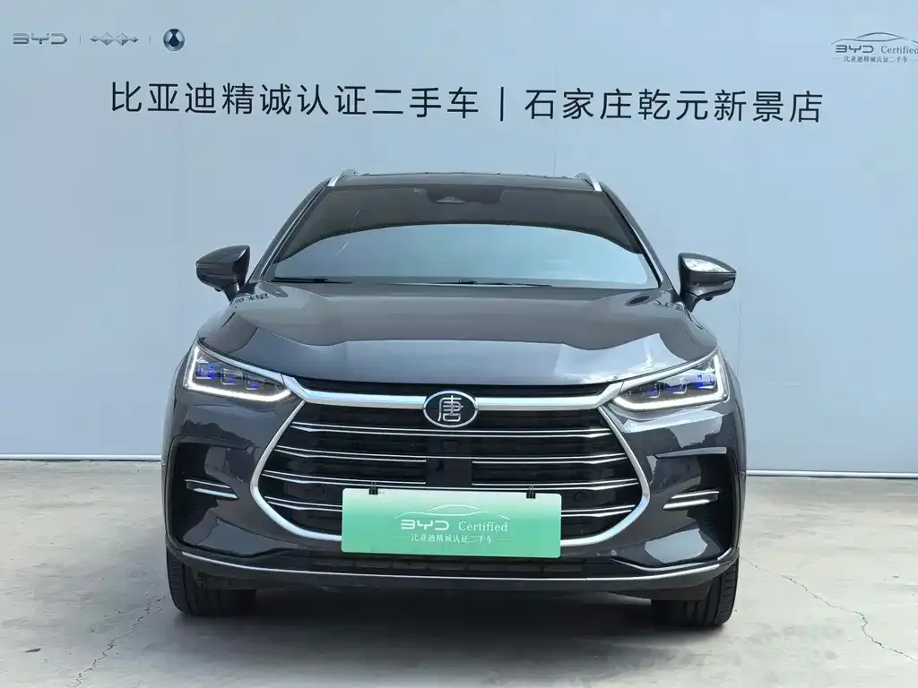 BYD Tang New Energy — фото 2