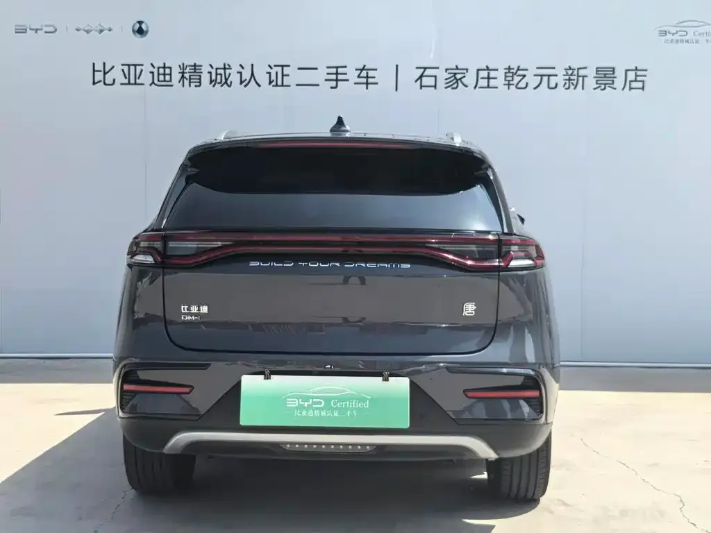 BYD Tang New Energy — фото 10