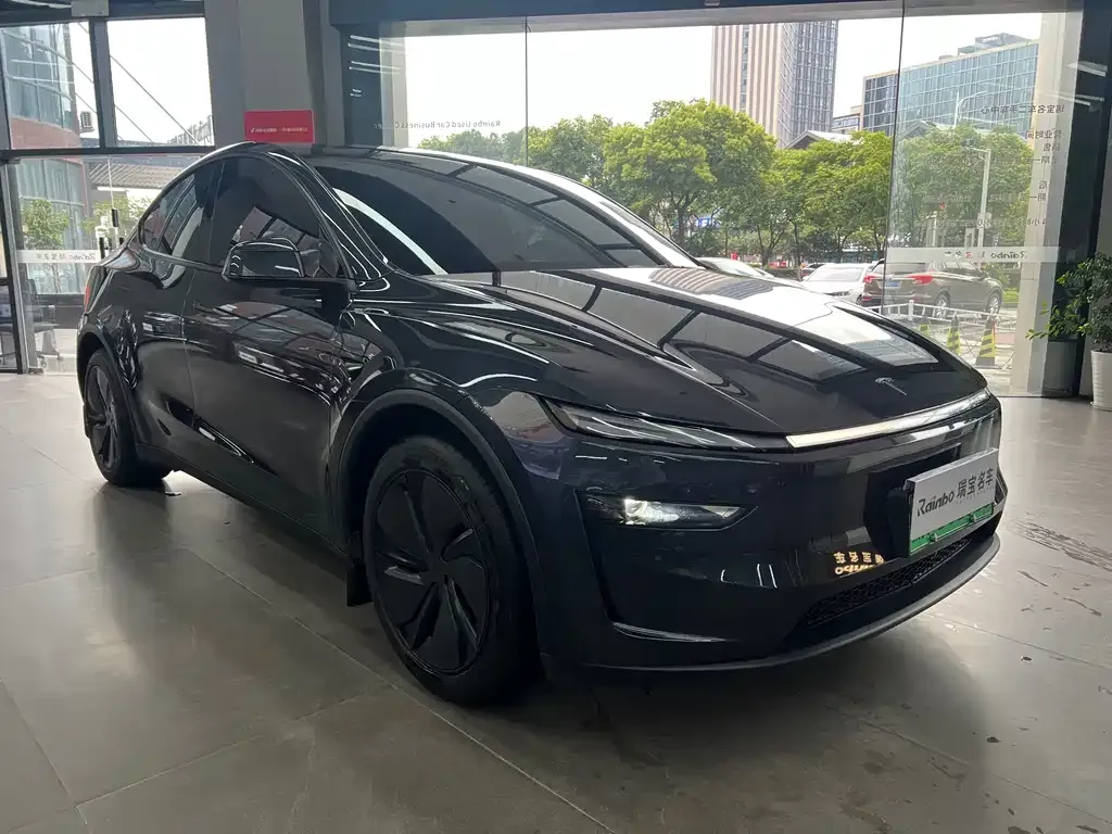 Tesla Model Y — фото 2