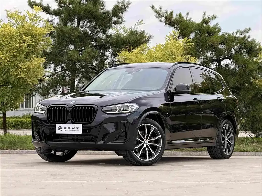 BMW X3 — фото 1
