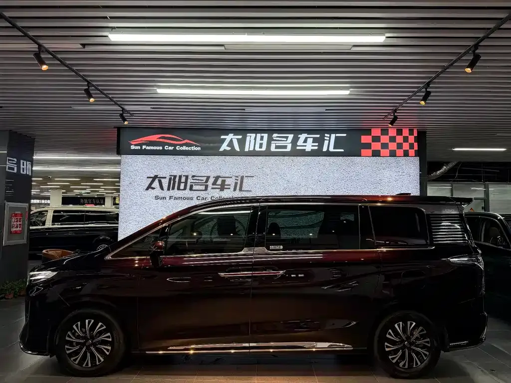 Hongqi HQ9 PHEV 2024 из CN, фото 4