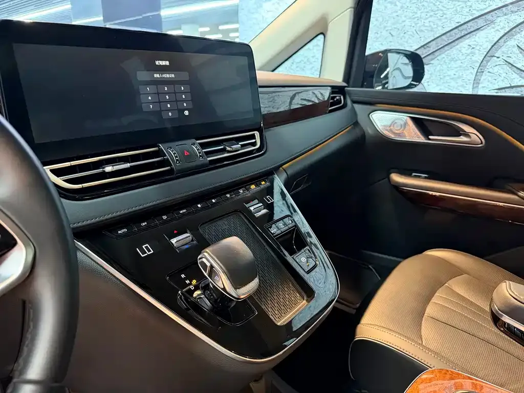 Hongqi HQ9 PHEV 2024 из CN, фото 5