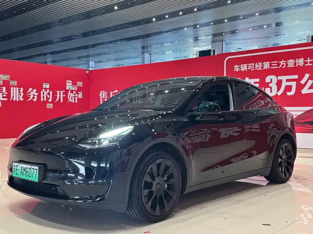 Tesla Model Y — фото 1