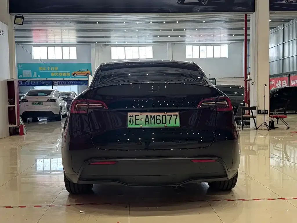 Tesla Model Y — фото 5