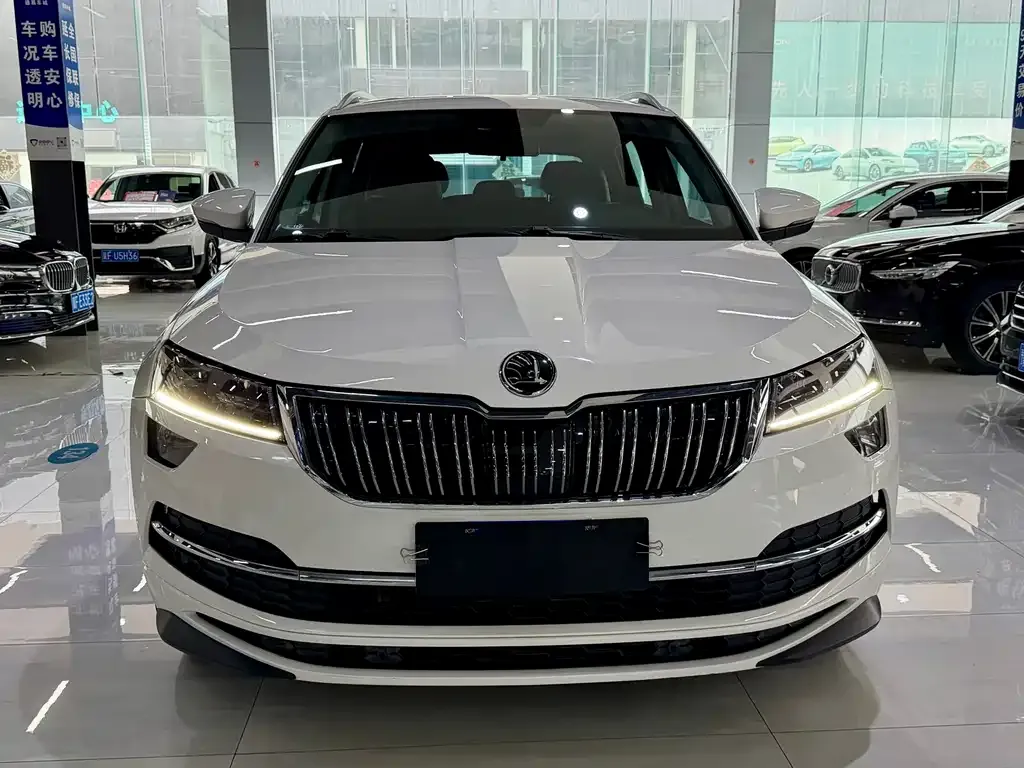 Skoda Karoq — фото 2