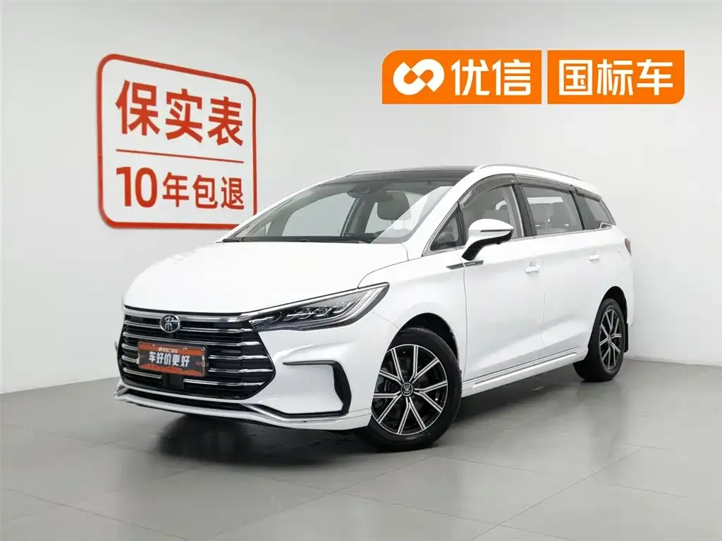 BYD MAX New Energy