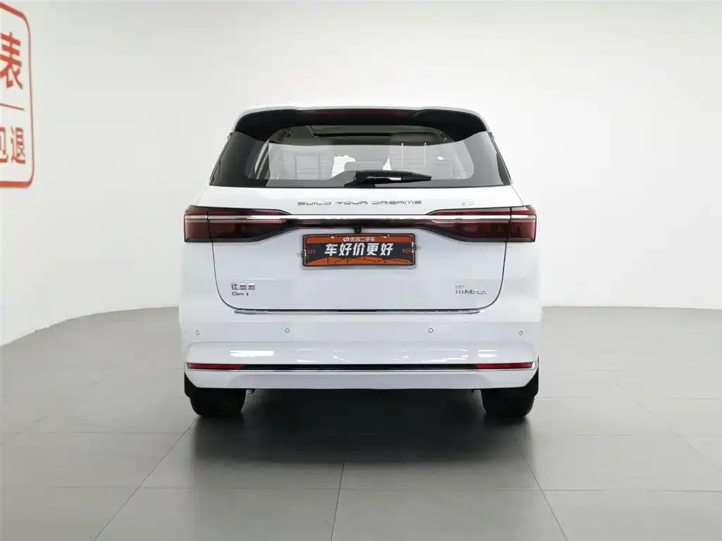 BYD MAX New Energy 2022 из CN, фото 4