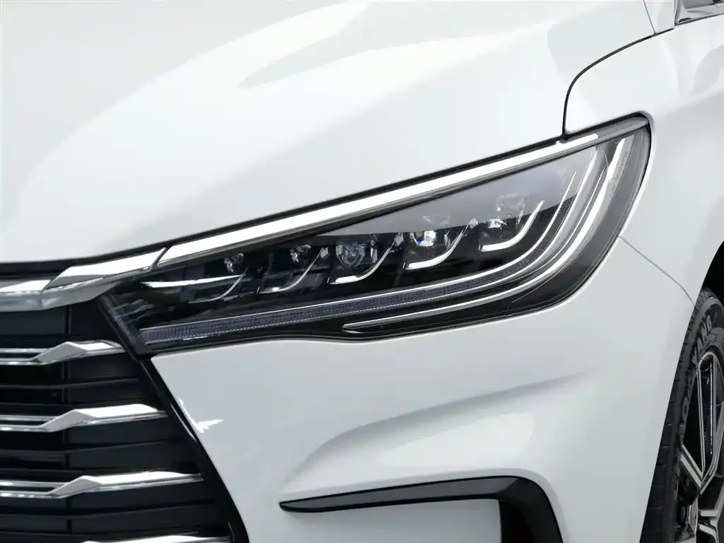 BYD MAX New Energy 2022 из CN, фото 10