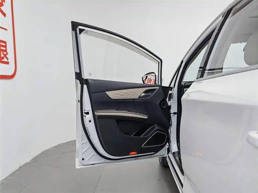BYD MAX New Energy 2022 из CN, фото 3