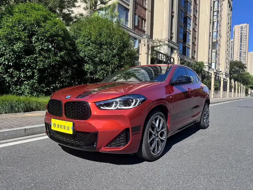 BMW X2 — фото 1