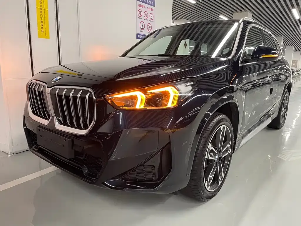 BMW X1 — фото 1