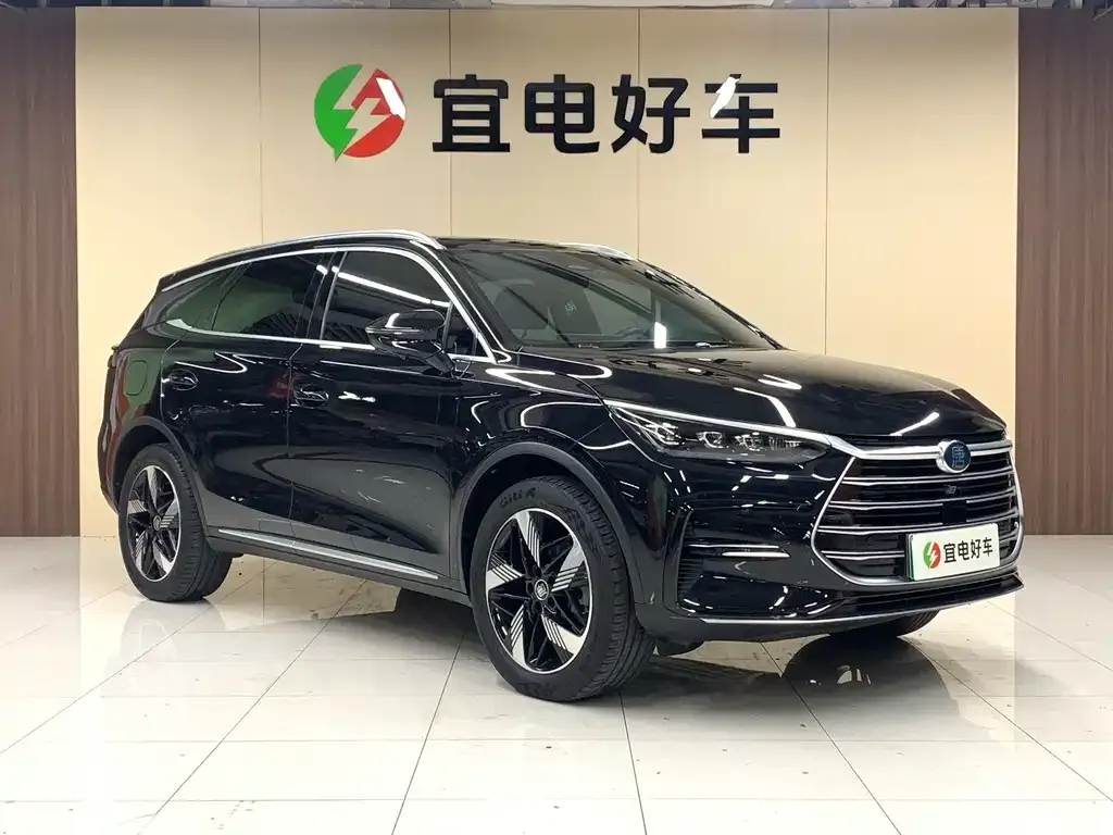 BYD Tang New Energy — фото 5
