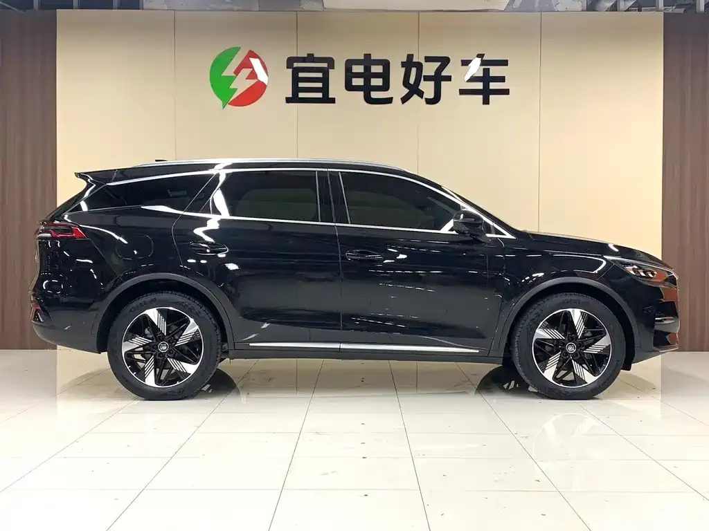 BYD Tang New Energy — фото 8