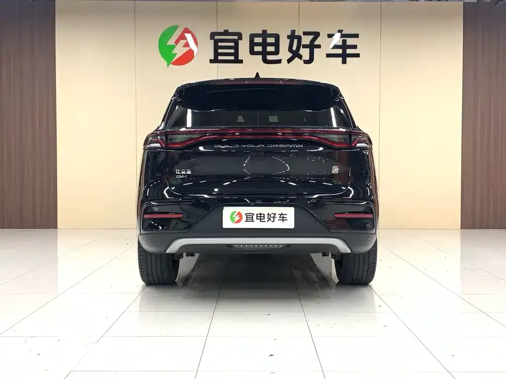 BYD Tang New Energy — фото 2