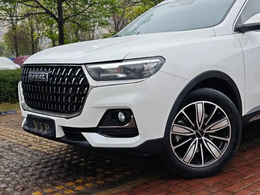 Haval H6 2024 из CN, фото 4