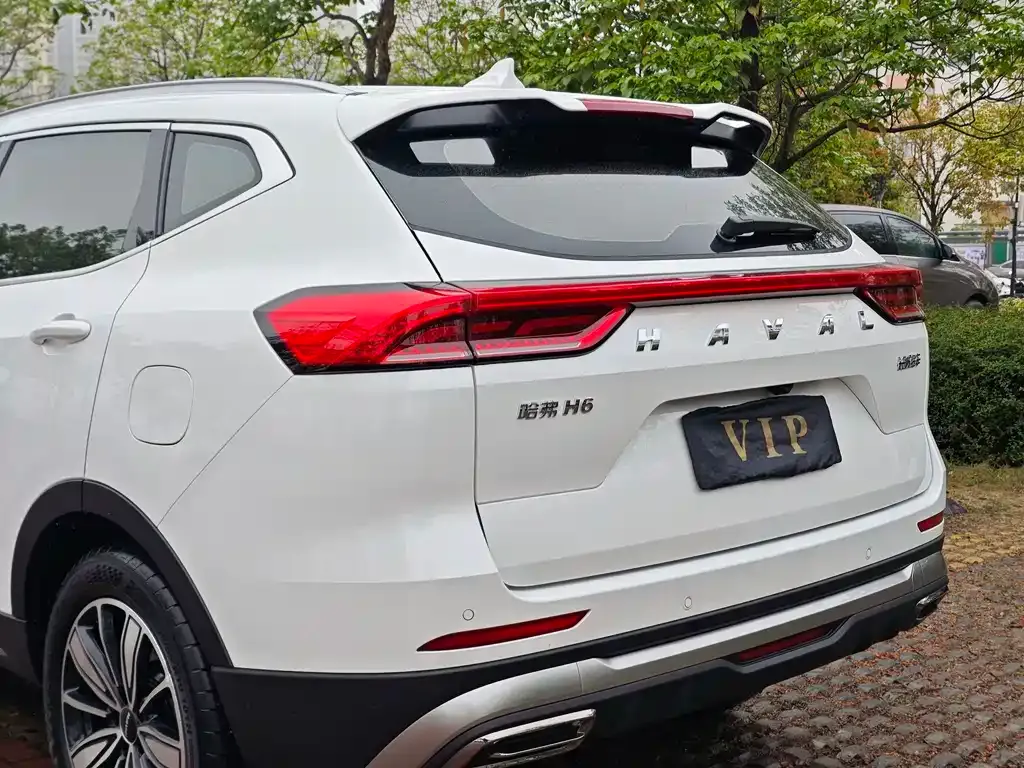 Haval H6 2024 из CN, фото 10