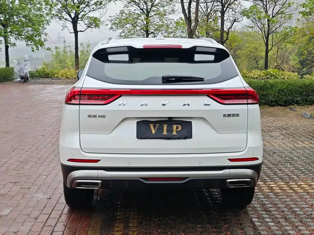 Haval H6 2024 из CN, фото 8