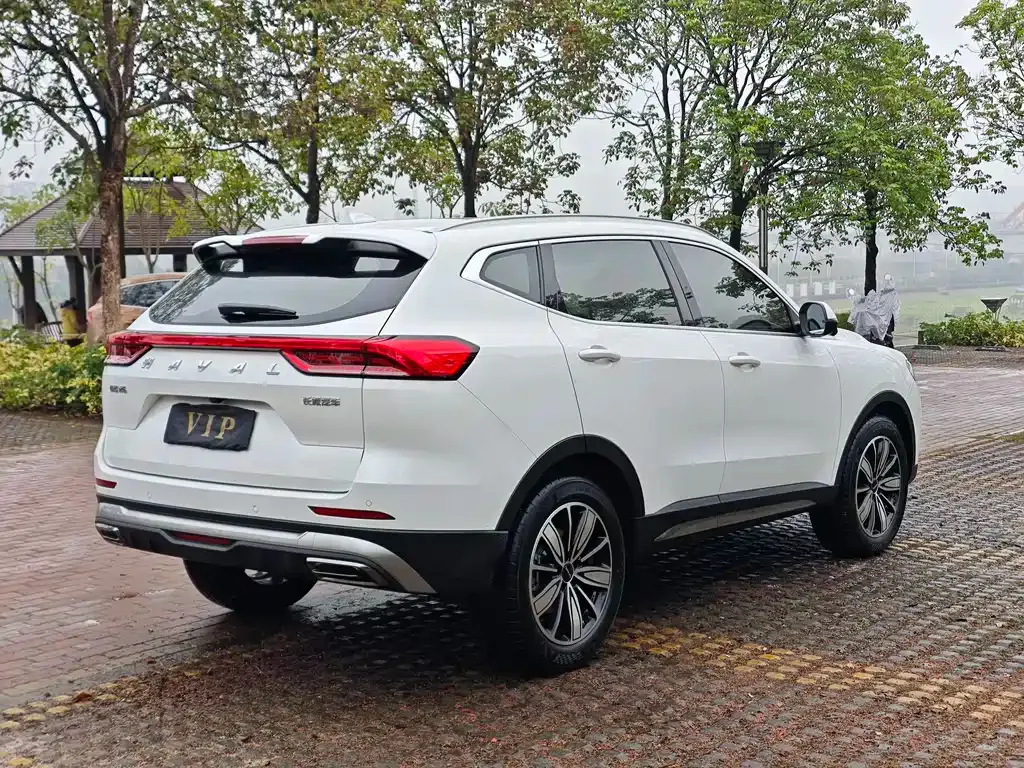 Haval H6 2024 из CN, фото 6