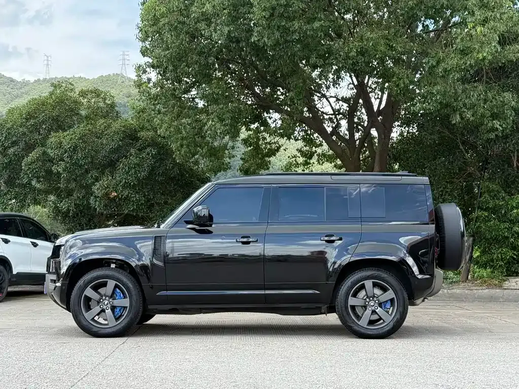 Land Rover Defender — фото 10