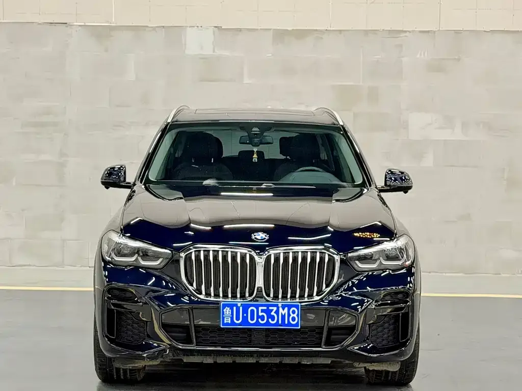 BMW X5 2022 из CN, фото 9