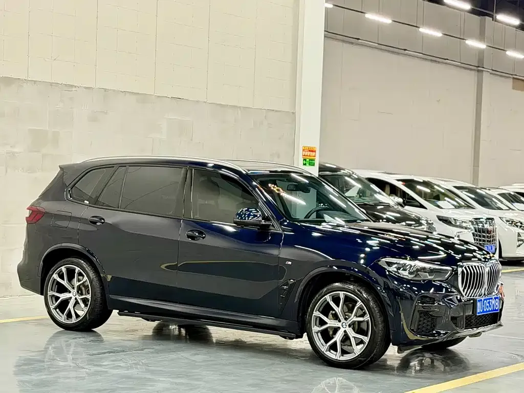 BMW X5 2022 из CN, фото 10