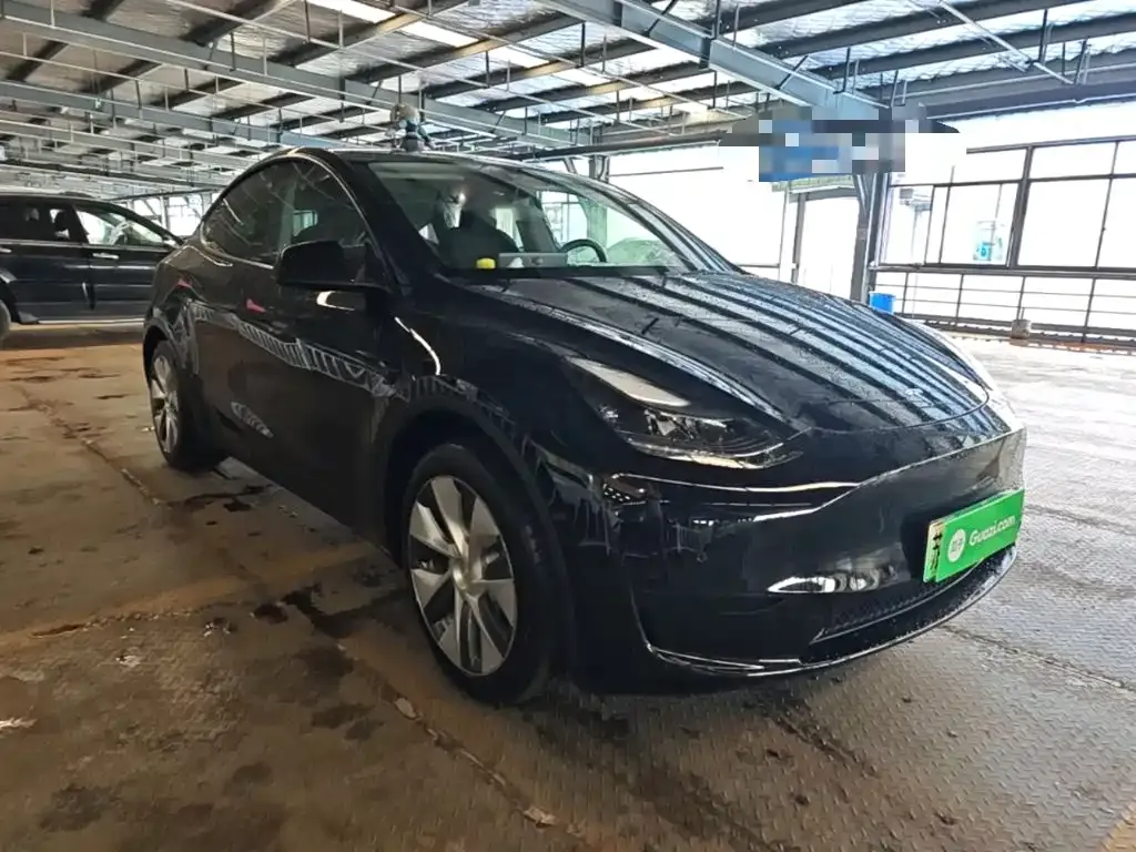 Tesla Model Y — фото 10