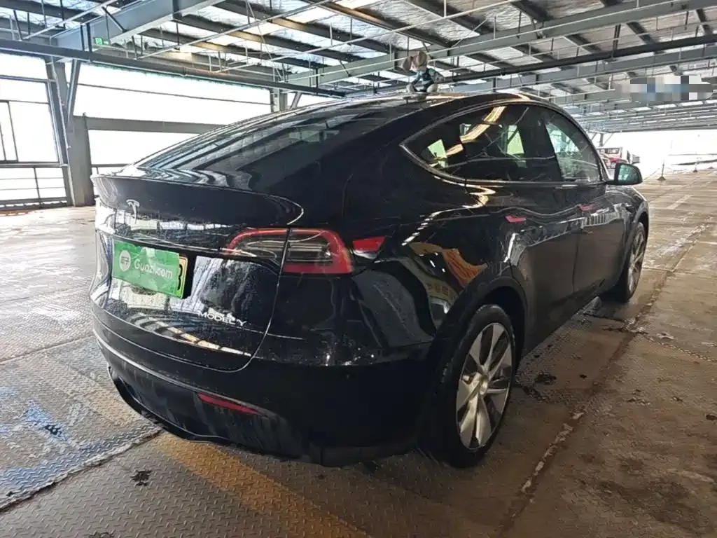 Tesla Model Y — фото 4