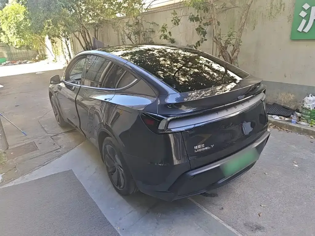 Tesla Model Y — фото 6