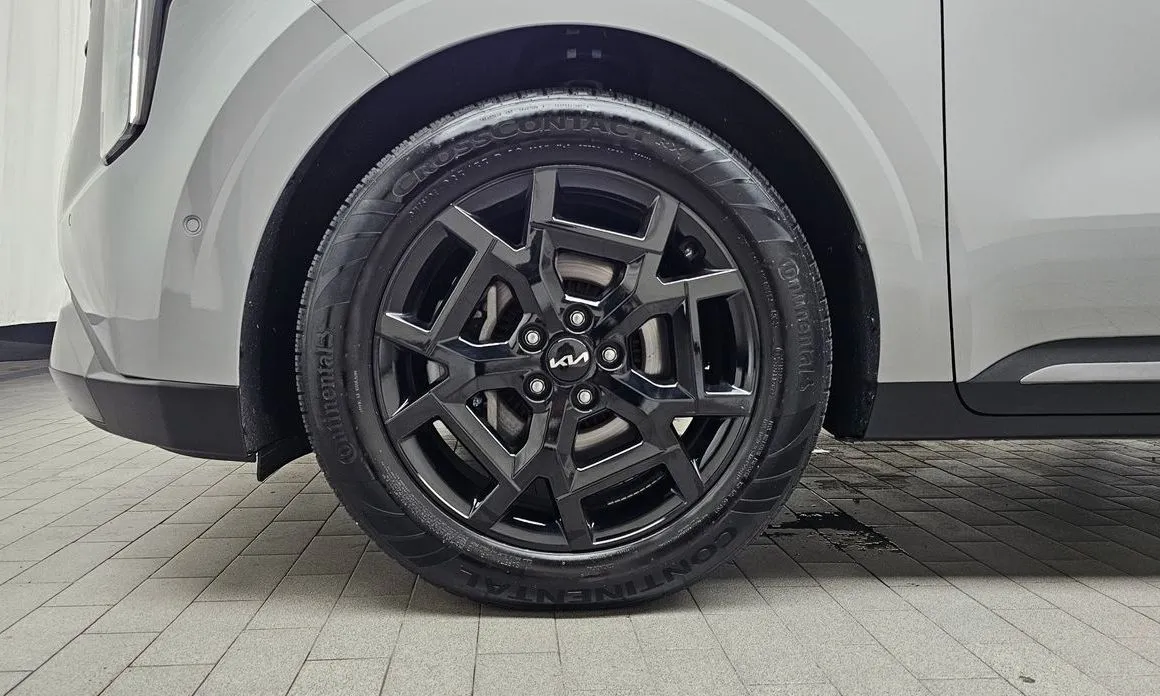 Kia Carnival — фото 10