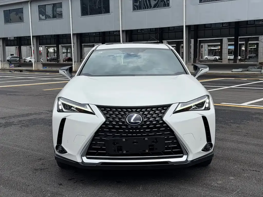Lexus UX New Energy — фото 9