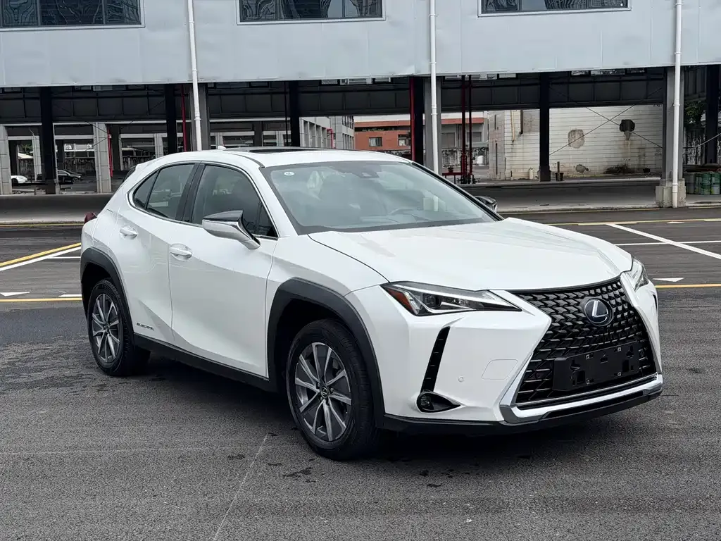 Lexus UX New Energy — фото 10