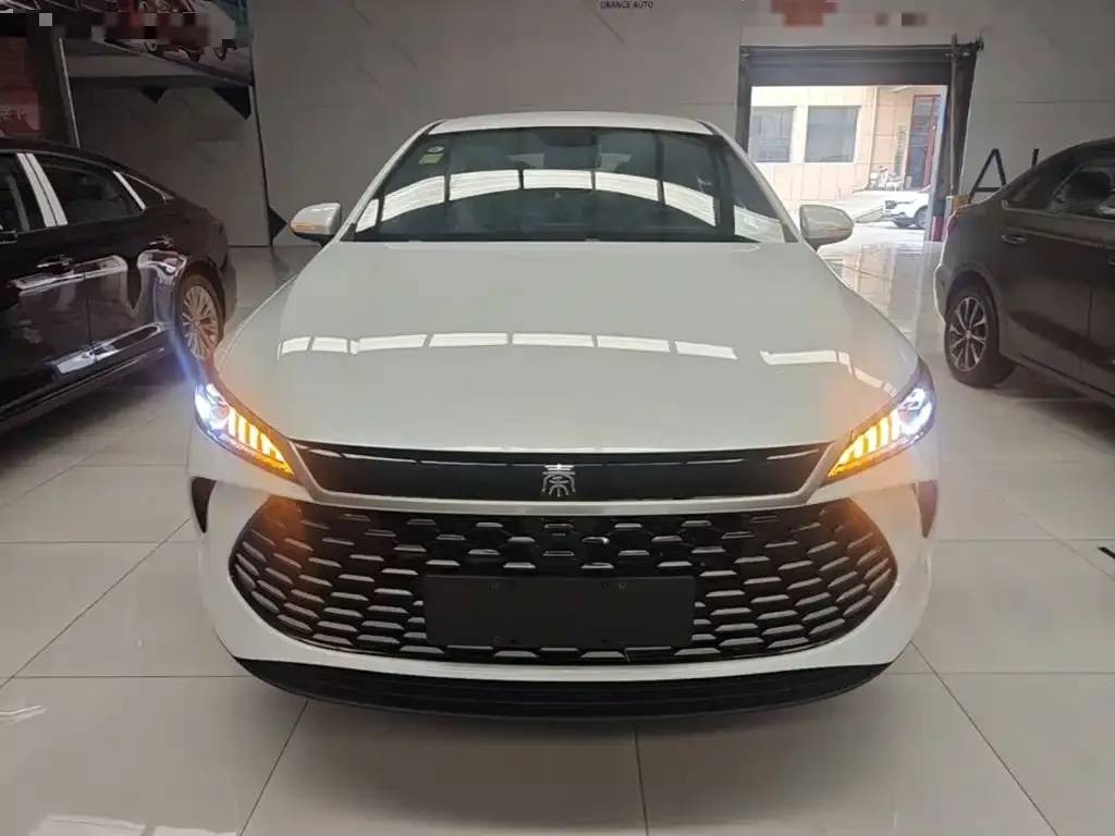 BYD Qin PLUS — фото 4