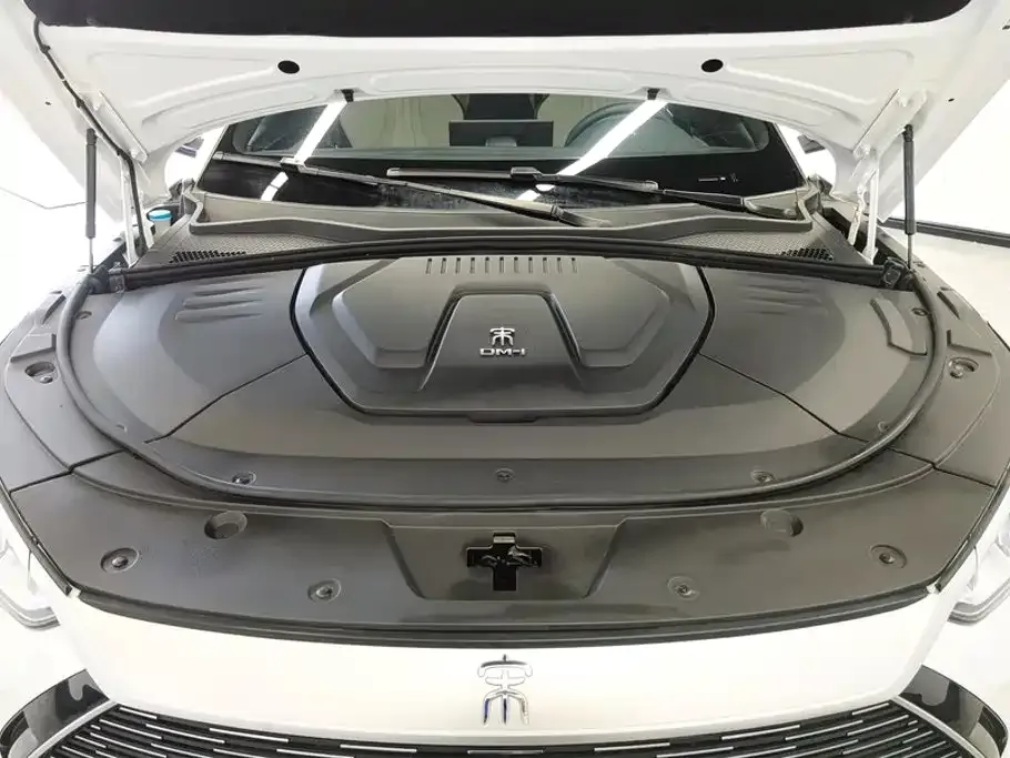 BYD PLUS New Energy — фото 10