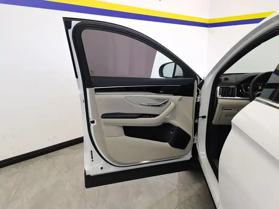 BYD PLUS New Energy — фото 2