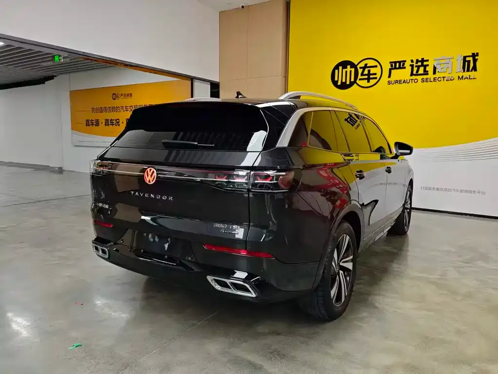 Volkswagen Tavendor 2024 из CN, фото 2