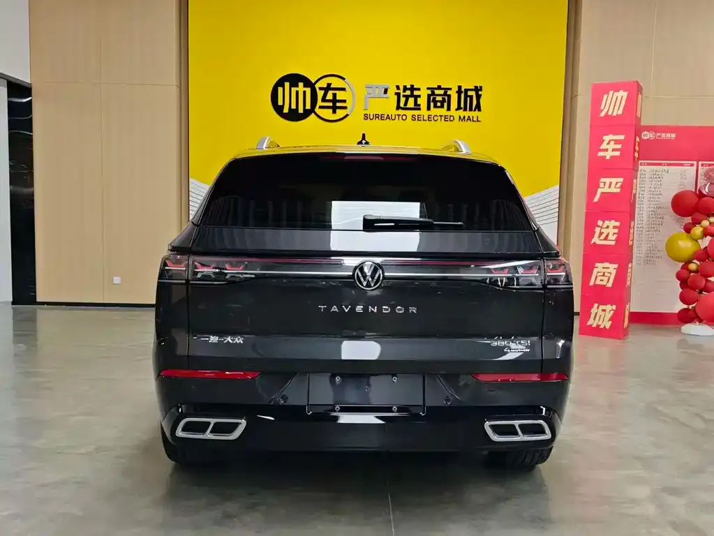 Volkswagen Tavendor 2024 из CN, фото 6