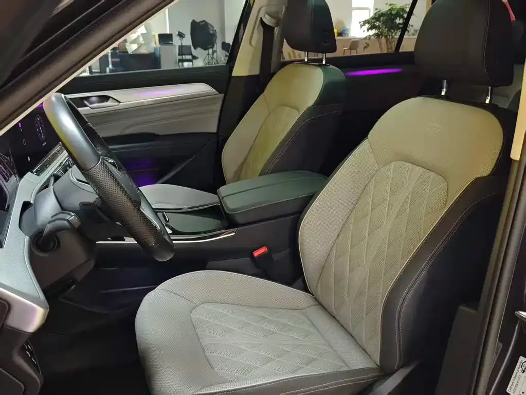 Volkswagen Tavendor 2024 из CN, фото 7