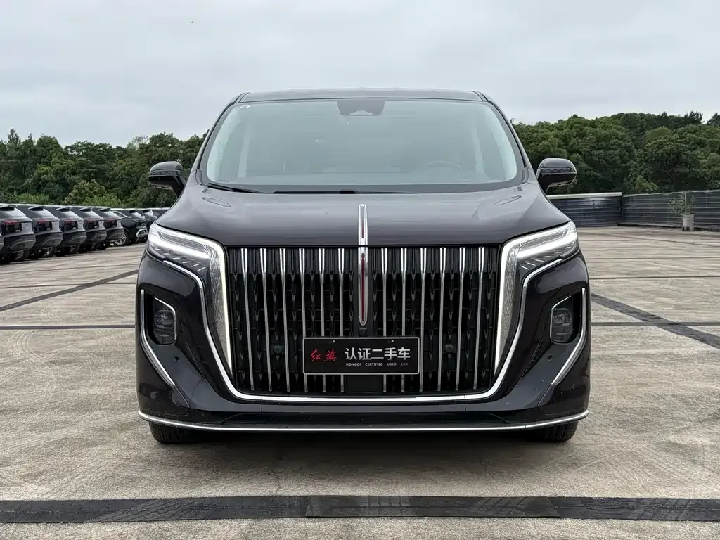 Hongqi HQ9 — фото 3