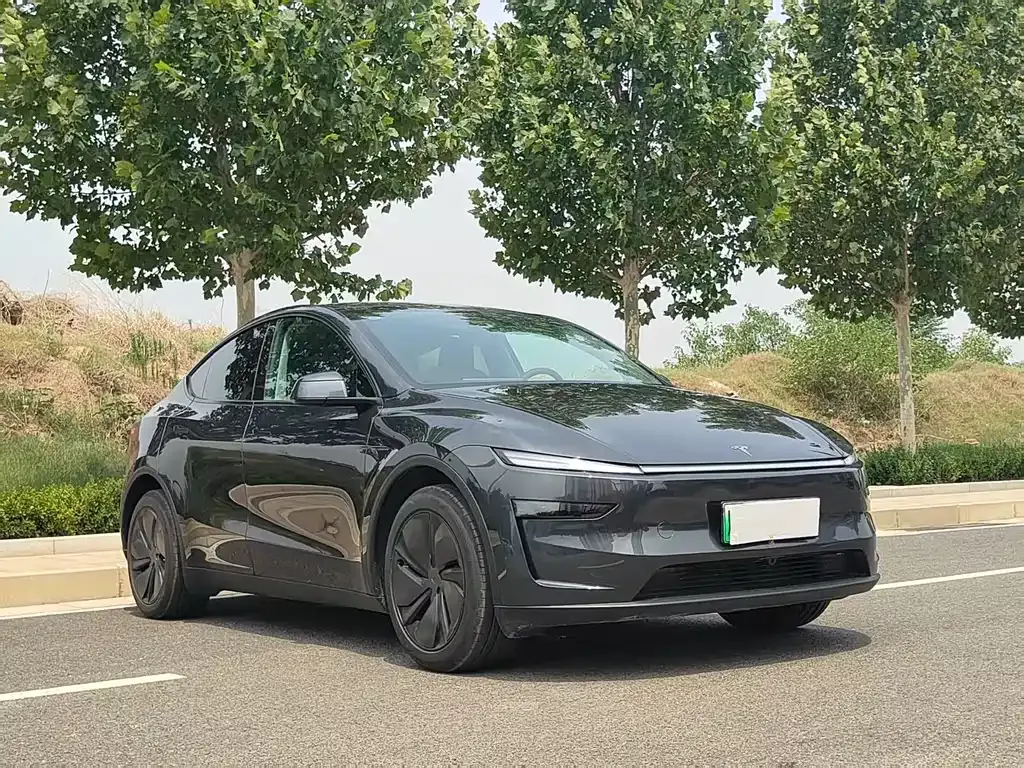 Tesla Model Y — фото 6