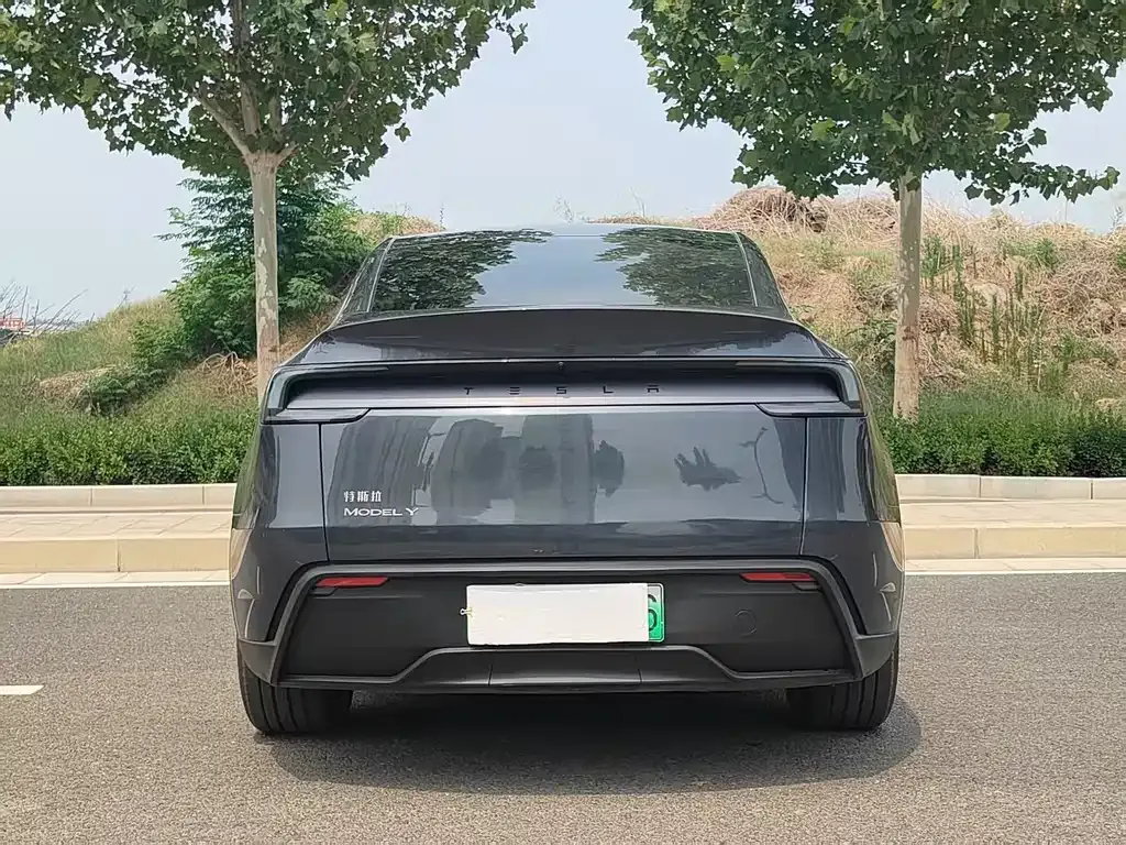 Tesla Model Y — фото 9