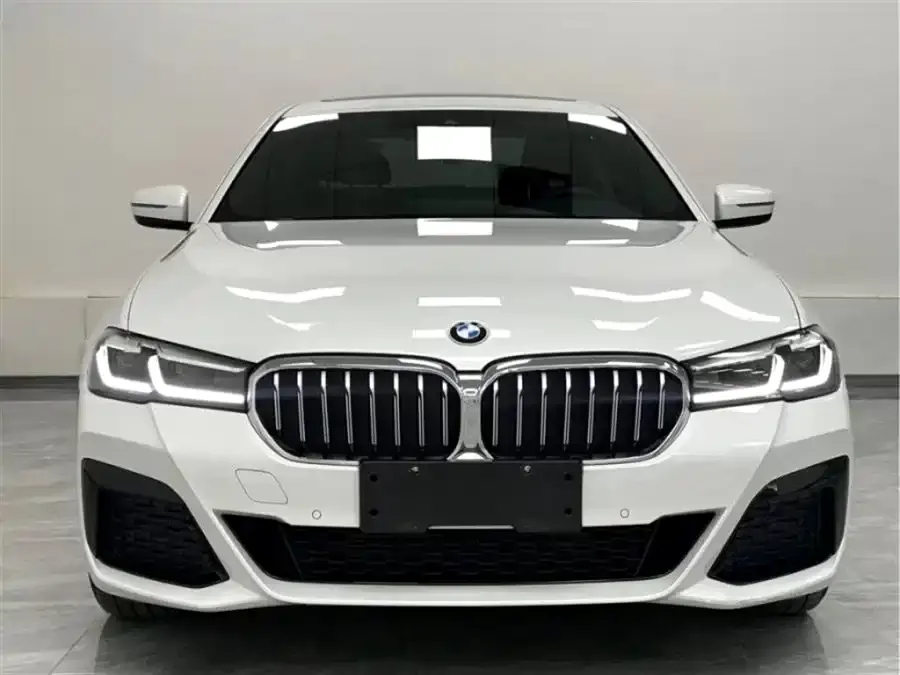BMW 5 Series 2021 из CN, фото 2