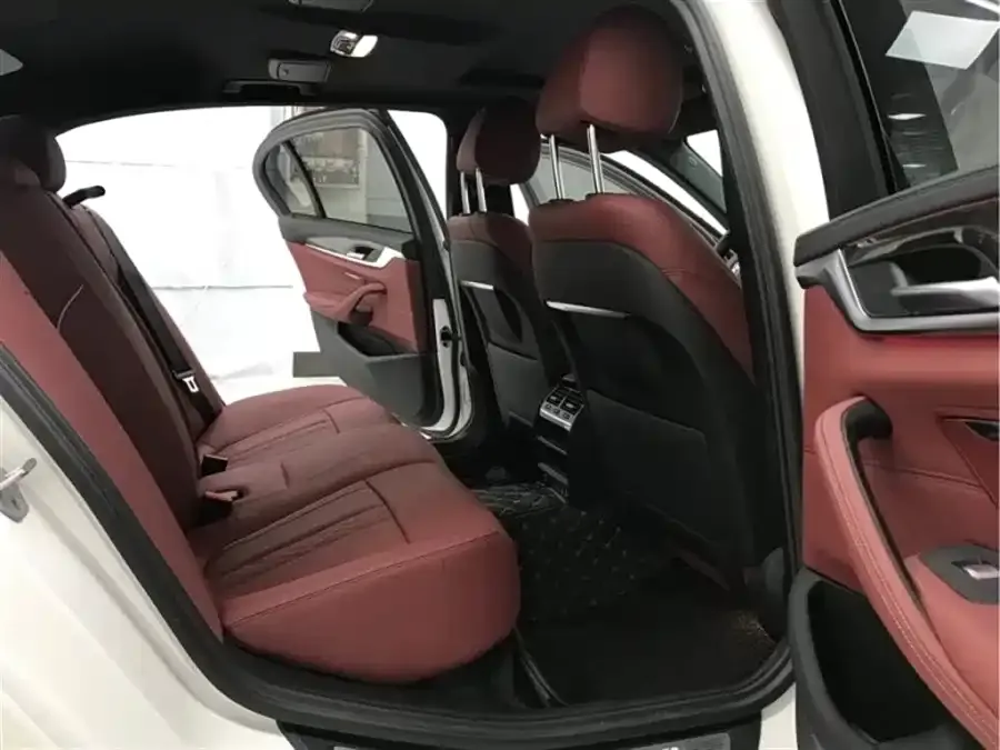 BMW 5 Series 2021 из CN, фото 4