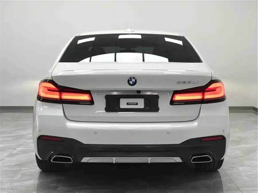 BMW 5 Series 2021 из CN, фото 8
