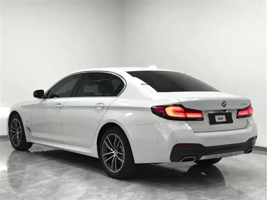 BMW 5 Series 2021 из CN, фото 3