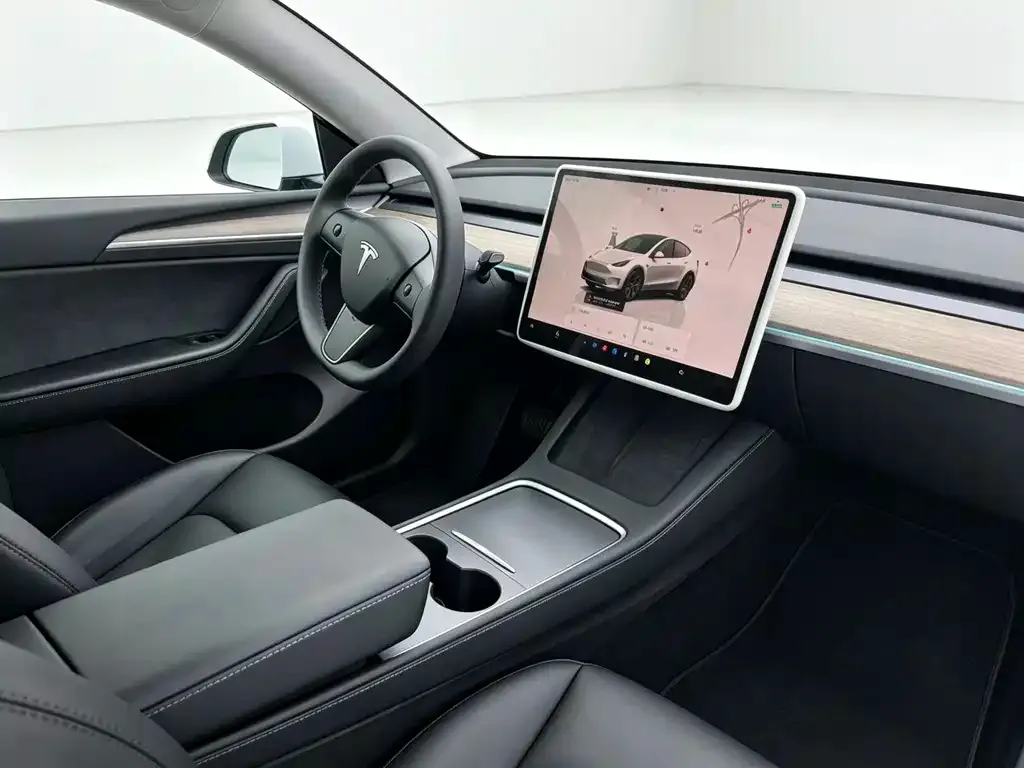 Tesla Model Y — фото 9