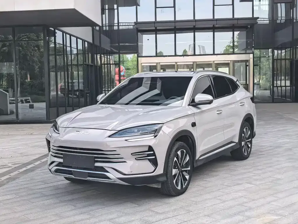 BYD PLUS New Energy — фото 1
