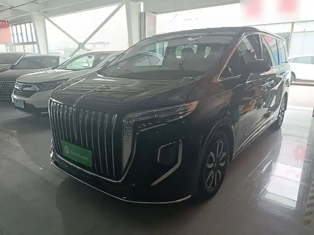 Hongqi HQ9 — фото 6