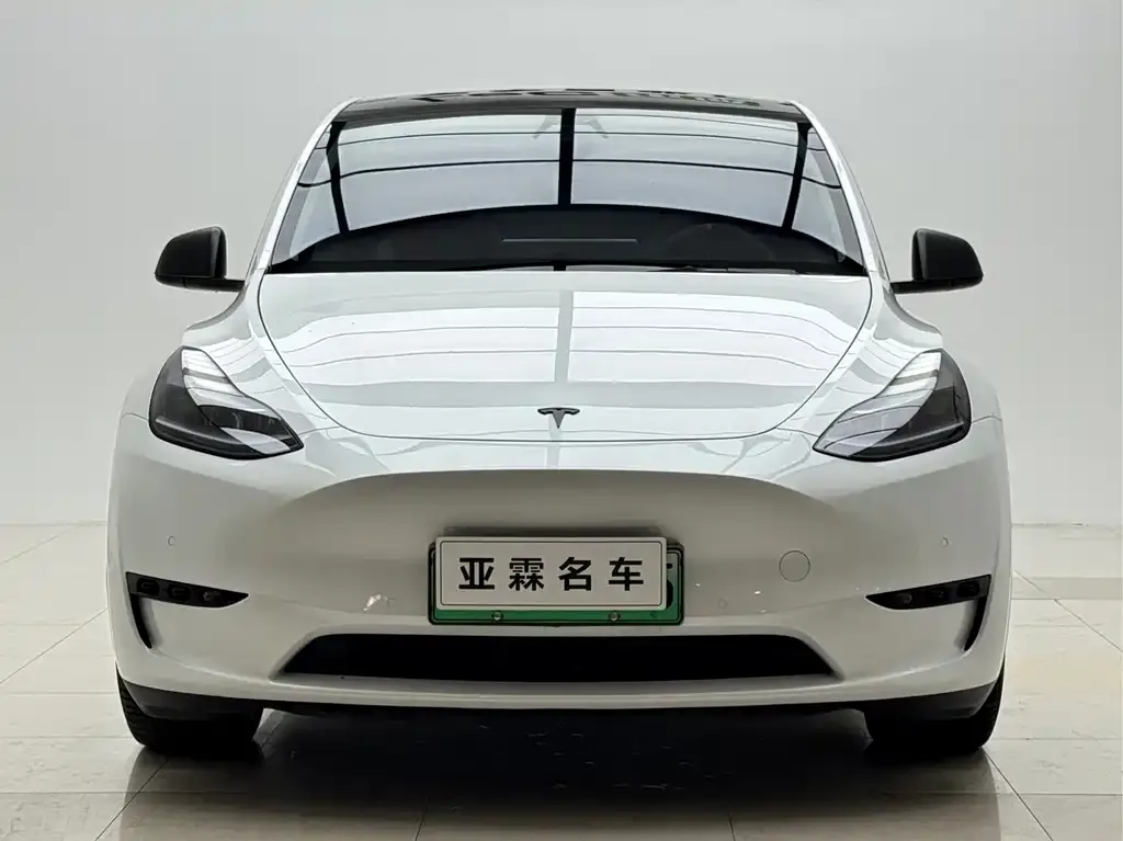 Tesla Model Y — фото 10